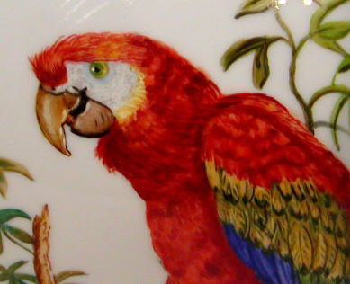 The Great Macaw